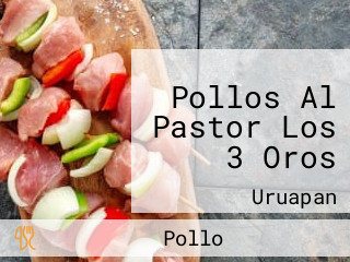 Pollos Al Pastor Los 3 Oros