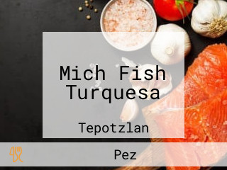 Mich Fish Turquesa