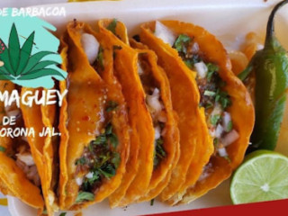 Tacos De Barbacoa El Maguey