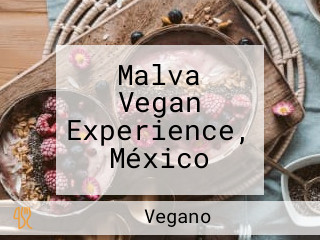 Malva Vegan Experience, México