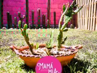 Mamá Mía Sabor Mexicano