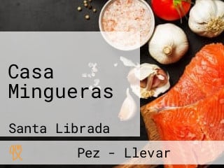 Casa Mingueras