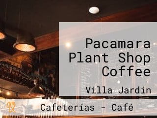 Pacamara Plant Shop Coffee