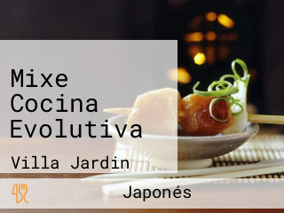 Mixe Cocina Evolutiva