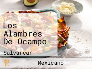 Los Alambres De Ocampo