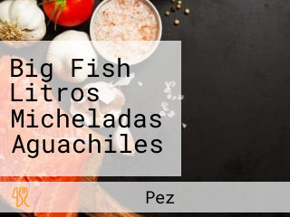 Big Fish Litros Micheladas Aguachiles