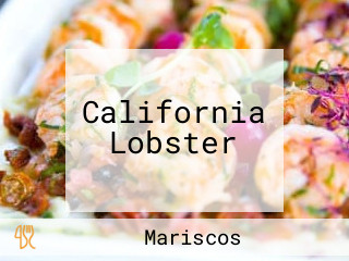 California Lobster