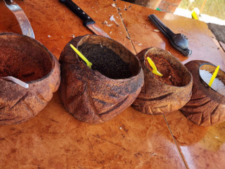 Cocos Frios El Yesi Charales Enpanisados