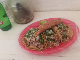 Carnitas El Taco Del Arbol