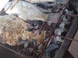 Tacos Al Carbón El Tuxpeño