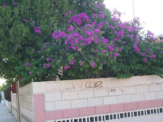 Tortilleria Los Guerra