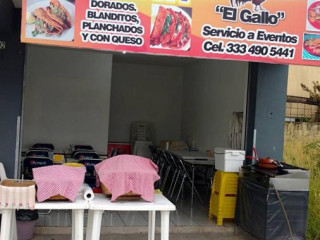 Tacos Y Gorditas El Gallo