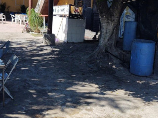 Patitas Doradas San Juan En San Juan De El Fuerte Michoacan