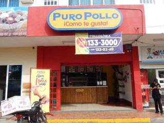 Puro Pollo Santa Rosa