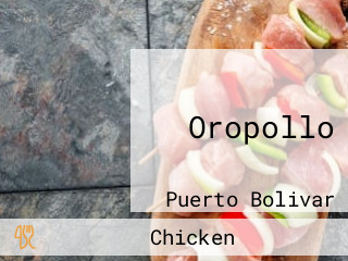 Oropollo