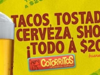 Cotorritos Mérida