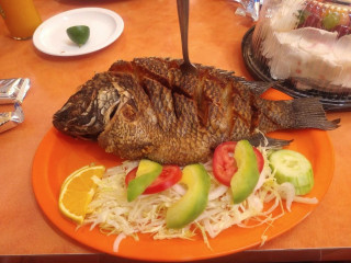 Marisqueria Y Ostioneria El Jarocho