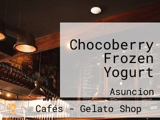 Chocoberry Frozen Yogurt