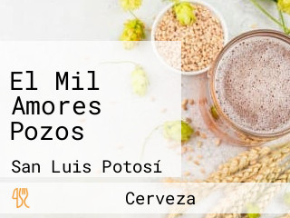 El Mil Amores Pozos