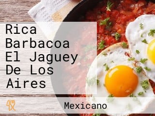 Rica Barbacoa El Jaguey De Los Aires