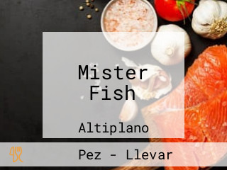 Mister Fish