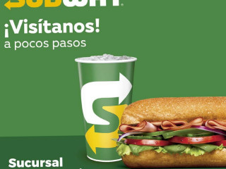 Subway Plaza Altavista