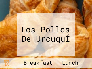 Los Pollos De UrcuquÍ