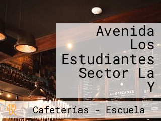 Avenida Los Estudiantes Sector La Y