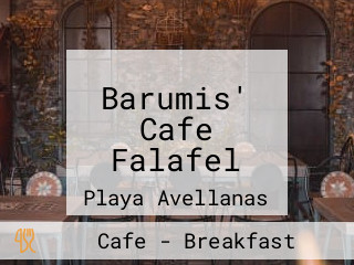 Barumis' Cafe Falafel