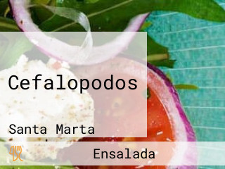 Cefalopodos