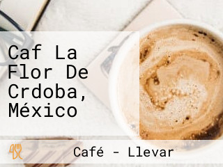 Caf La Flor De Crdoba, México