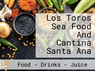 Los Toros Sea Food And Cantina Santa Ana