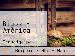 Bigos • América