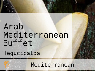 Arab Mediterranean Buffet