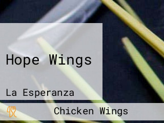 Hope Wings