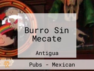 Burro Sin Mecate