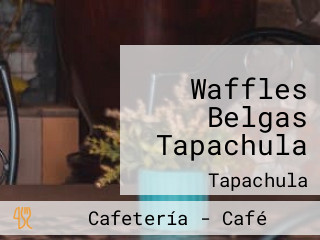 Waffles Belgas Tapachula