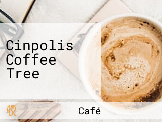 Cinpolis Coffee Tree