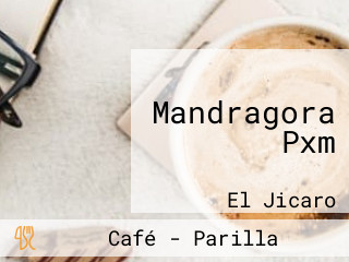 Mandragora Pxm