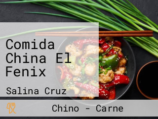 Comida China El Fenix