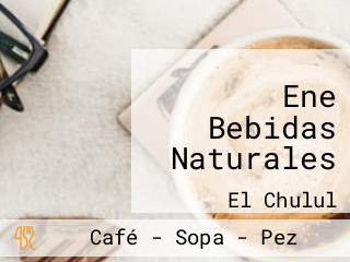 Ene Bebidas Naturales