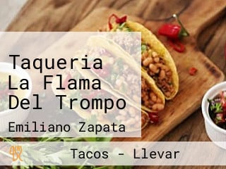 Taqueria La Flama Del Trompo