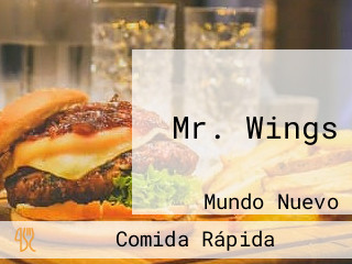 Mr. Wings