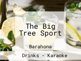 The Big Tree Sport