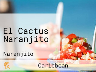 El Cactus Naranjito