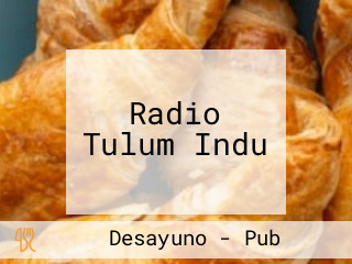 Radio Tulum Indu