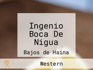 Ingenio Boca De Nigua