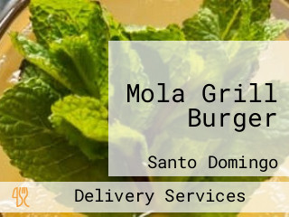 Mola Grill Burger