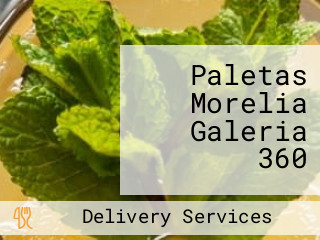 Paletas Morelia Galeria 360