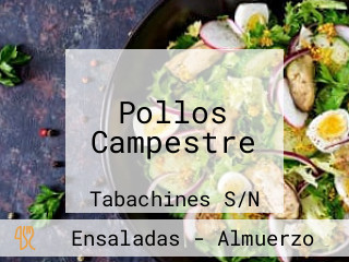 Pollos Campestre